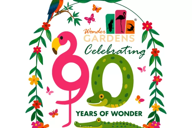 Celebrating 90 Years of Wonder
