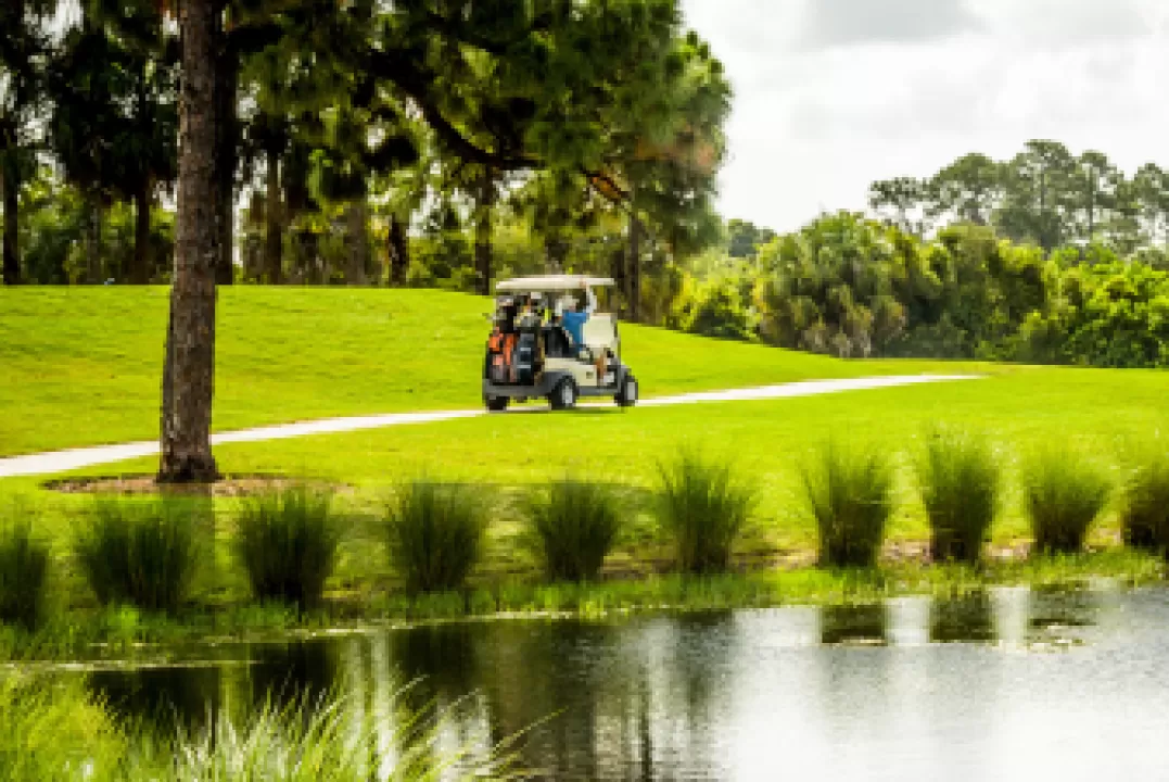 Golfing bliss