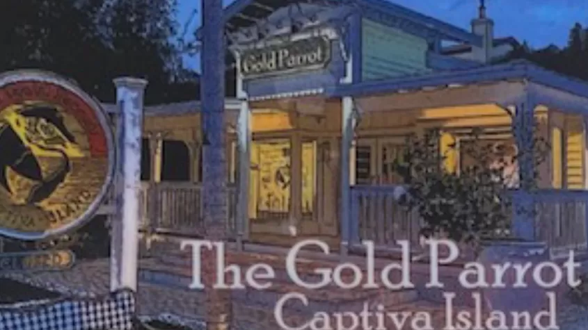 The Gold Parrot