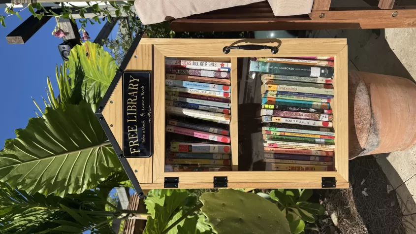 Free library