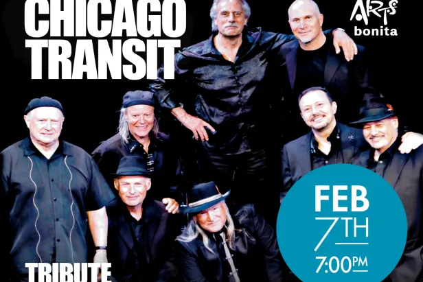 Chicago Transit
