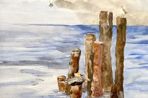 Seagulls Landing
