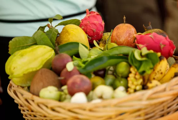 Fruit basket