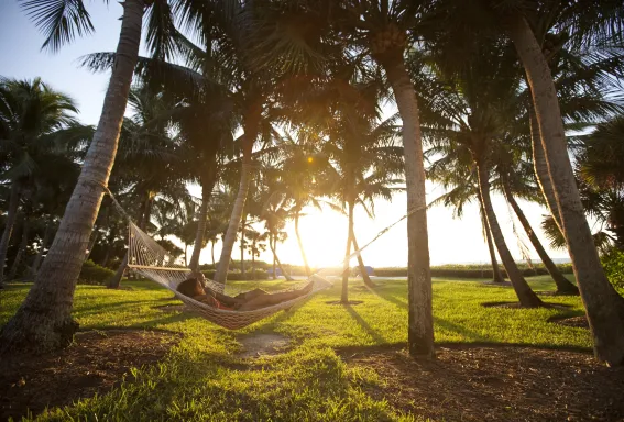 Person relaxing in a hammock between palm trees at sunset with golden light filtering through a tropical lawn near the water.